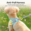 Nylon Dog Harness and Leash for Small Dogs
