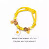 Adjustable Nylon Collar for Cats and Dogs