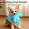 Squeaky Dog Toys for Puppies and Small to Medium Dogs