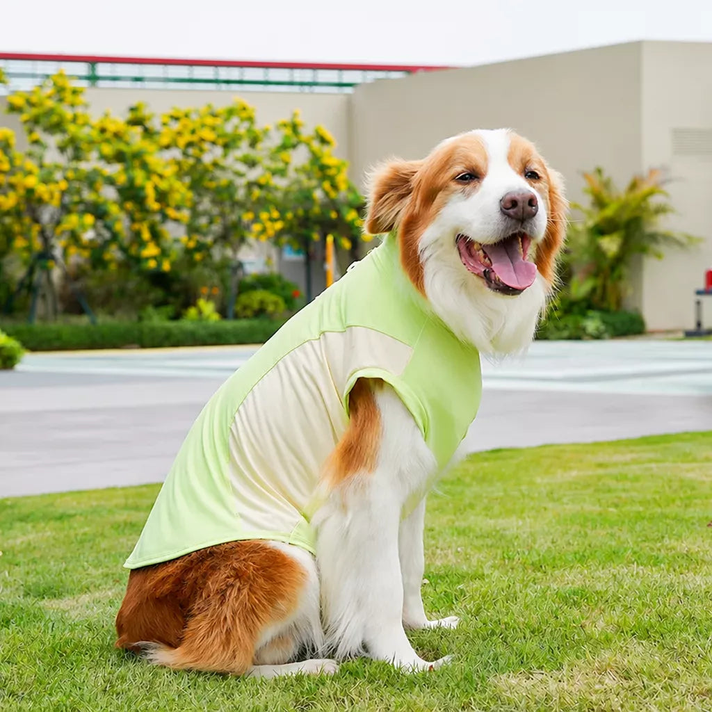 Lightweight Four-Leg Pet Shirt for Dogs & Cats