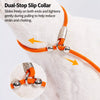 All-in-One Dog Collar and Leash