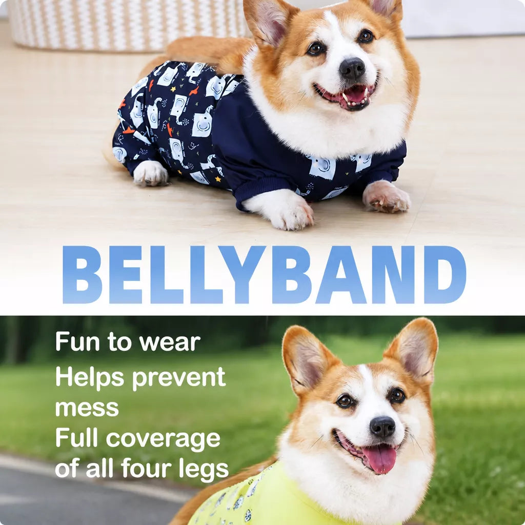 Waterproof Four-Leg Dog Raincoat with Belly Coverage