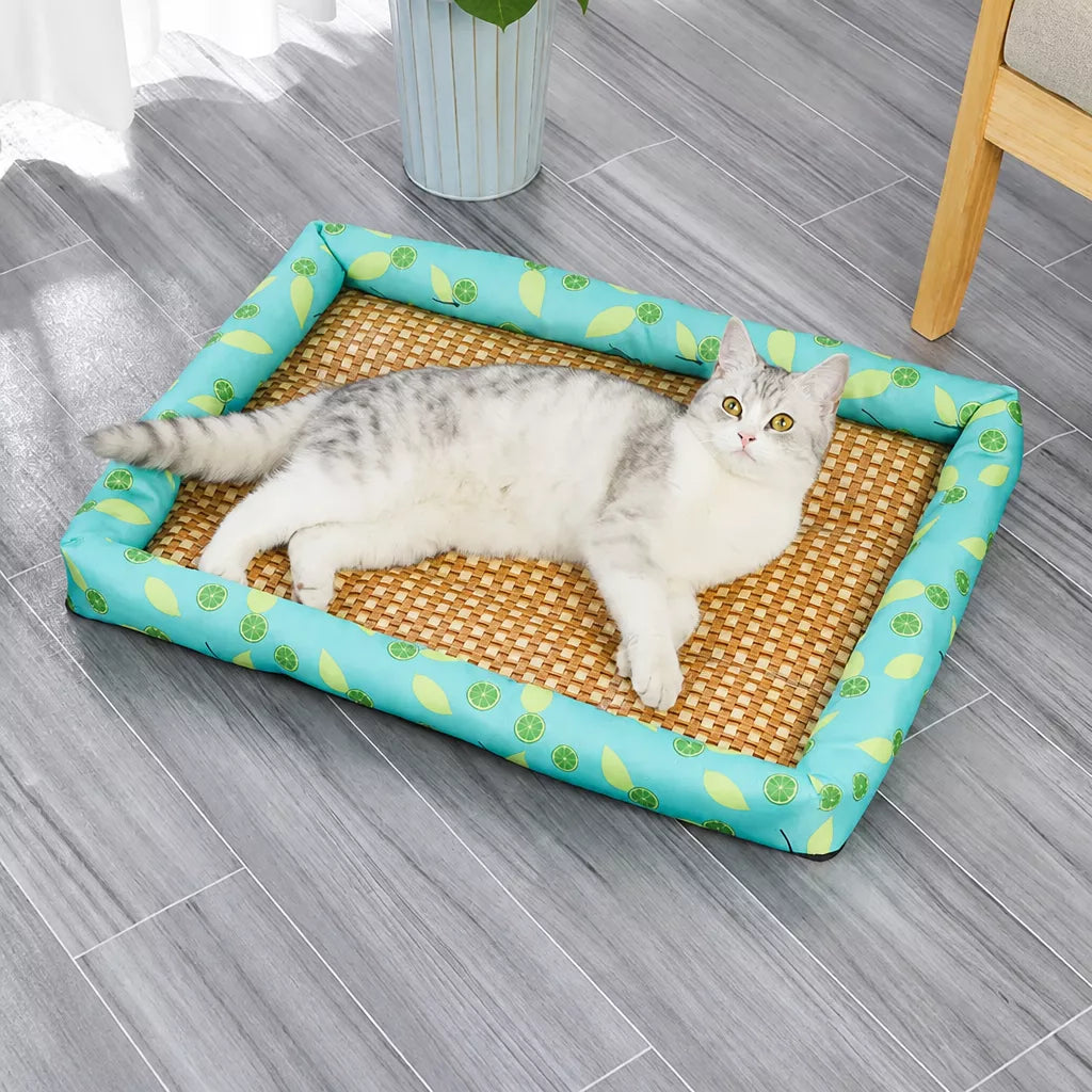 All-Season Pet Bed for Cats and Dogs