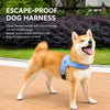 Small Dog Harness and Leash Set