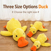 Plush Squeaky Dog Toys
