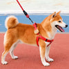 Adjustable Nylon Dog Harness with Leash Option