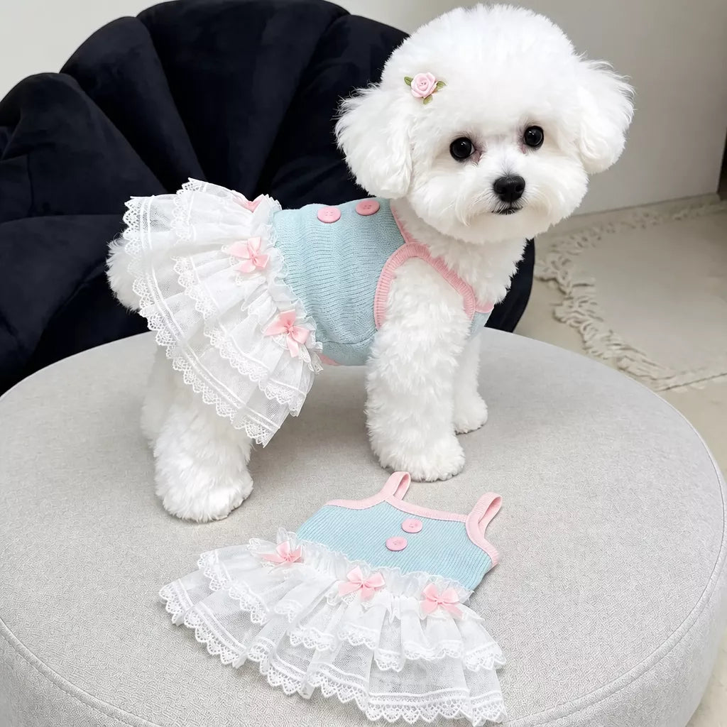 Pet Tank Tops and Strappy Dresses