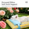Washable Pet Bed for Cats and Small to Medium Dogs