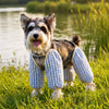 Lightweight Long-Leg Pet Pants for Outdoor Wear