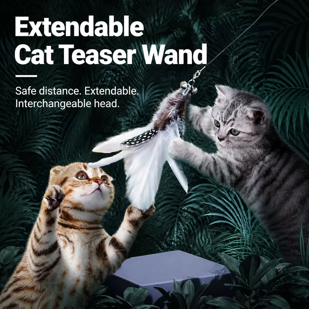 Cat Teaser Wand with Interchangeable Feather Attachments