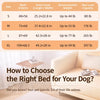 Portable Elevated Mesh Pet Cot Bed
