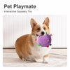 Squeaky Plush Rolling Ball Toy for Dogs