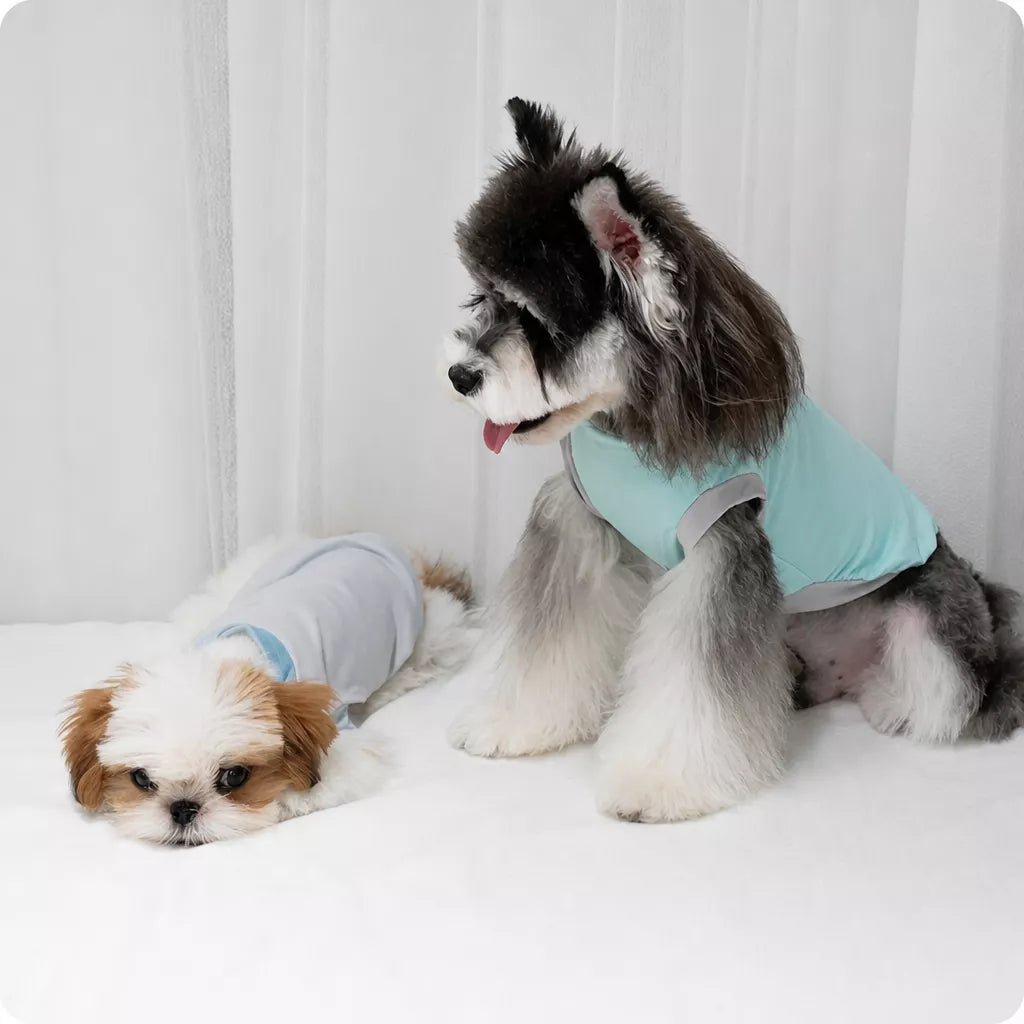 Lightweight Printed Color-Block Dog Vest