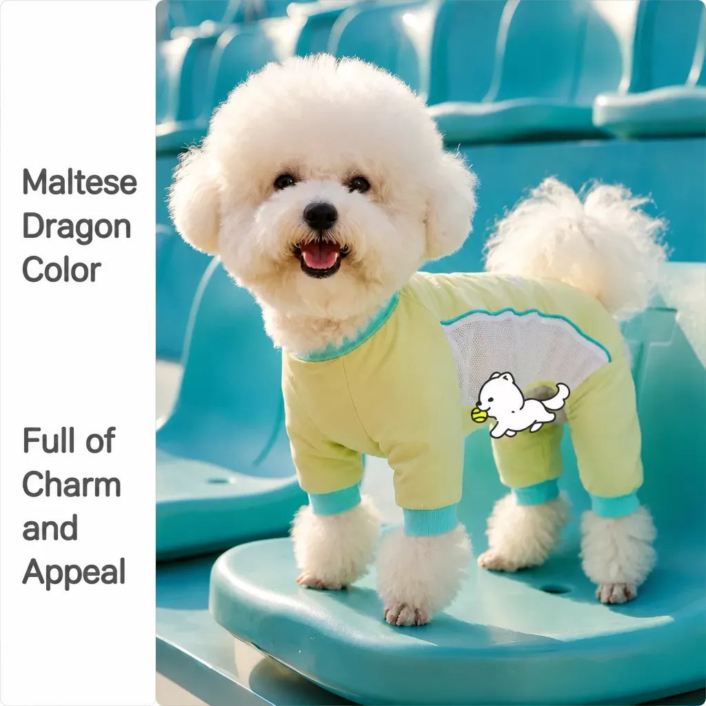 Lightweight Four-Leg Summer Dog Shirt