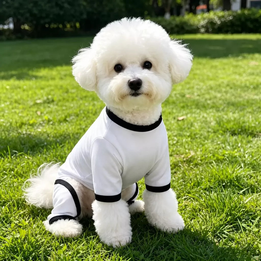 Lightweight Mesh Dog Shirt