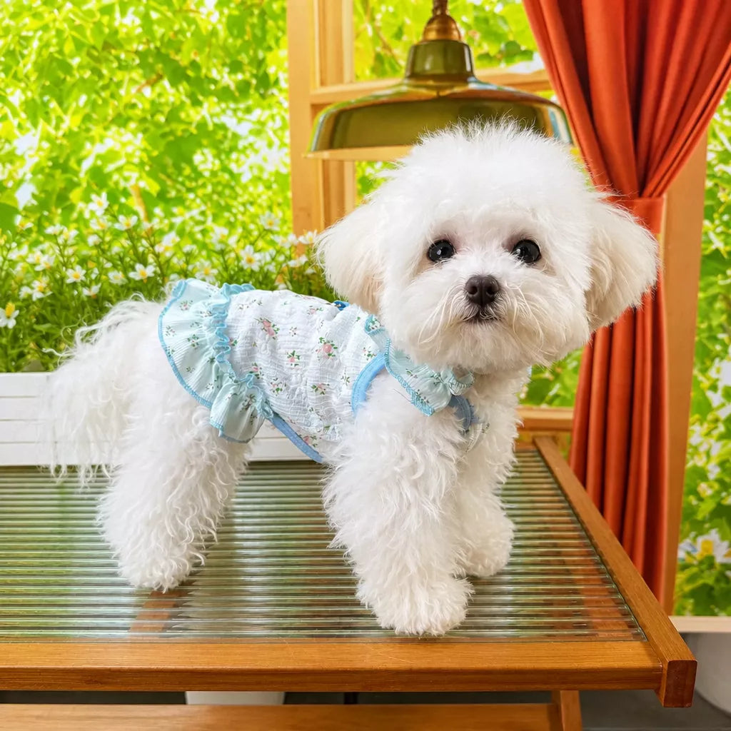 Lightweight Cutout Dress for Small Dogs and Cats