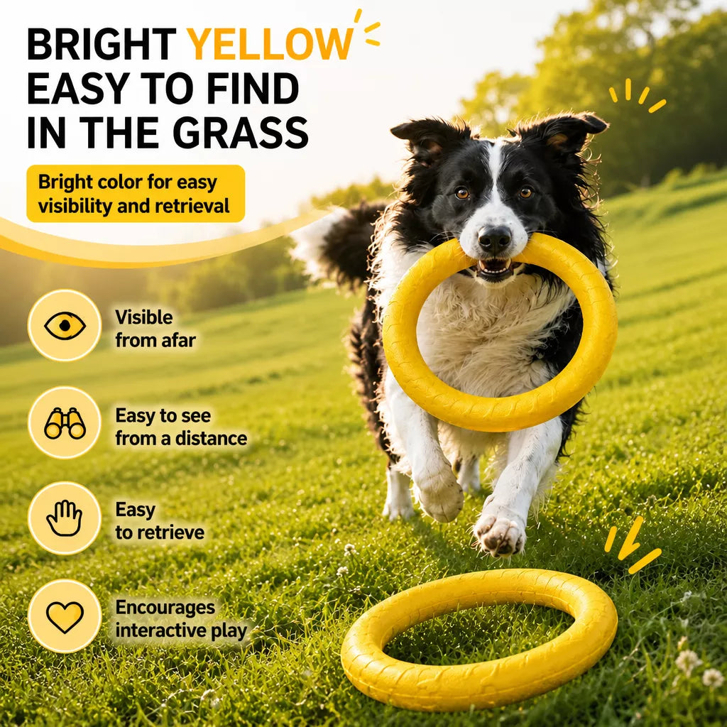 Silicone Dog Ring Toy for Fetch and Tug Play
