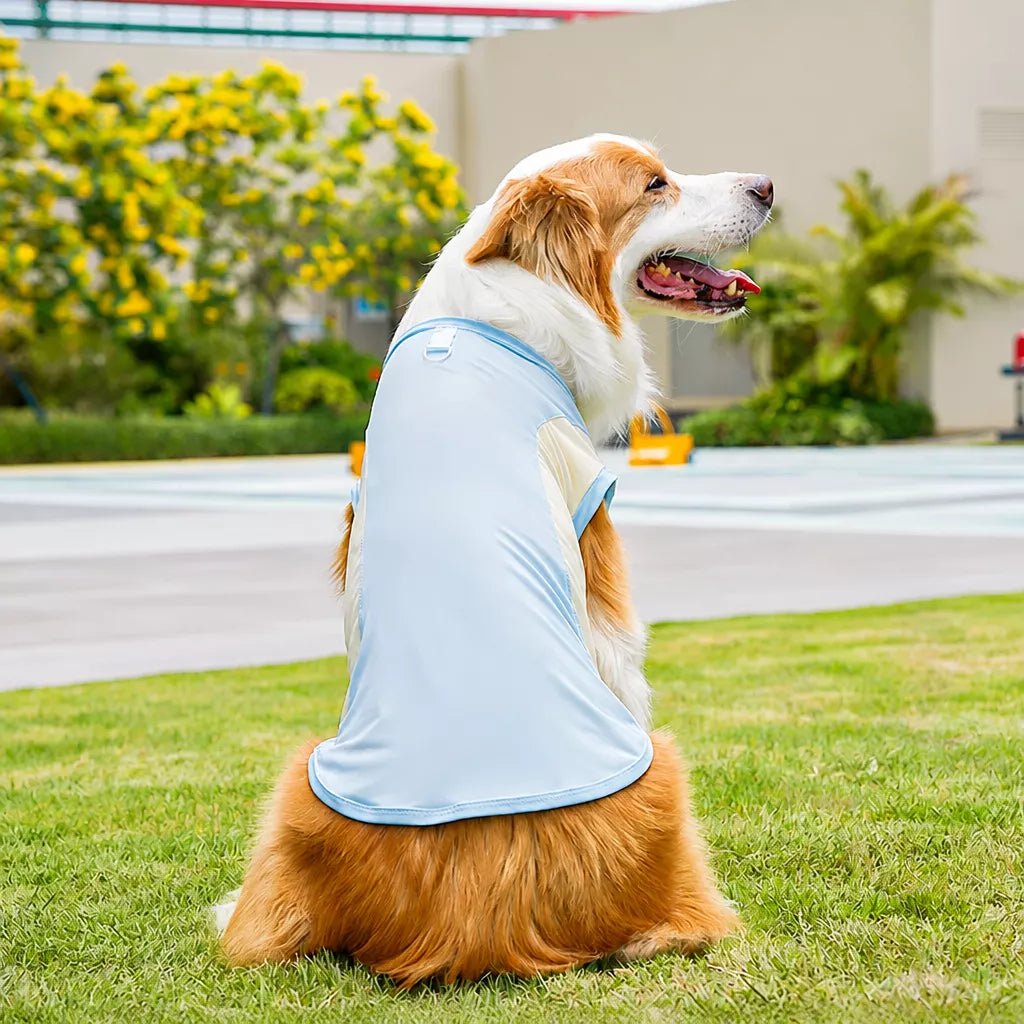 Lightweight Four-Leg Pet Shirt for Dogs & Cats