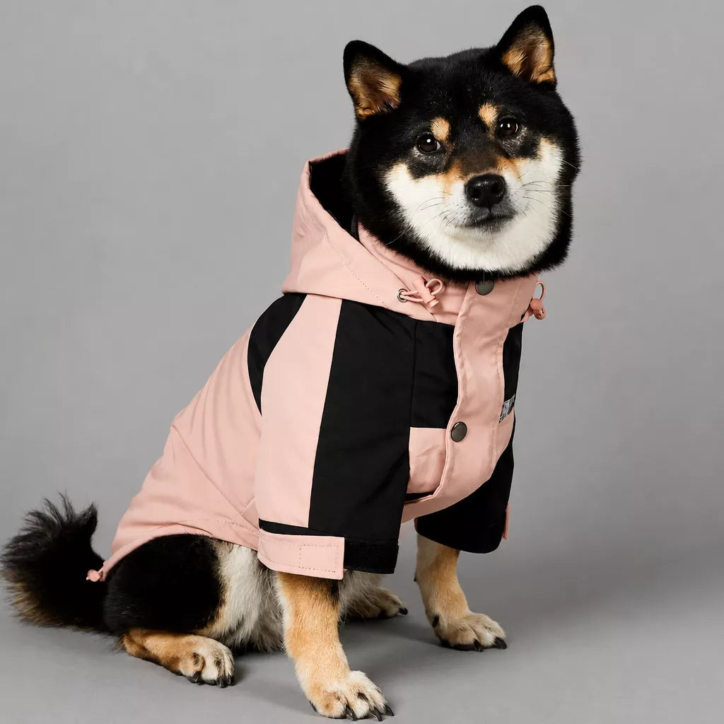 Dog Rain Jacket – Wind- and Water-Resistant Outdoor Coat