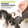 Adjustable Vest-Style Dog Harness and Leash