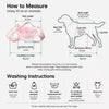 Portable Shoulder Pet Carrier for Small Dogs and Cats