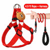 Adjustable Nylon Dog Harness with Leash Option