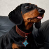 Soft Faux Leather Collar for Small Dogs & Cats