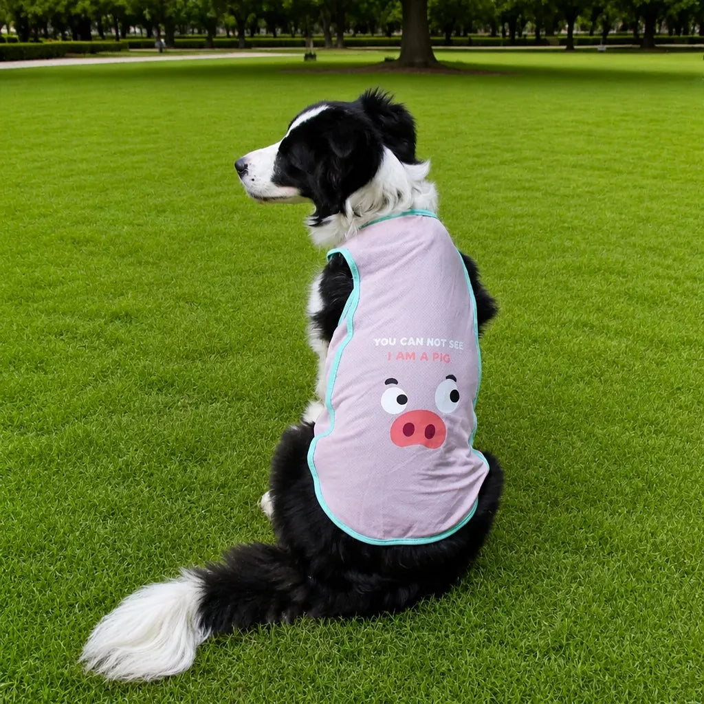 Lightweight Summer Pet Vest for Dogs and Cats