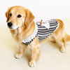 Lightweight Cotton Dog Graphic Pet Shirt for Cats & Dogs