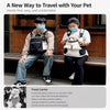 Nylon Mesh Pet Carrier Backpack for Cats and Small Dogs