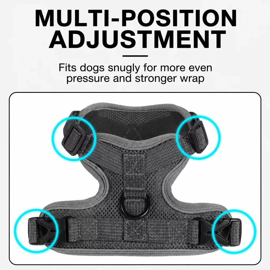 Adjustable Cat Harness and Leash