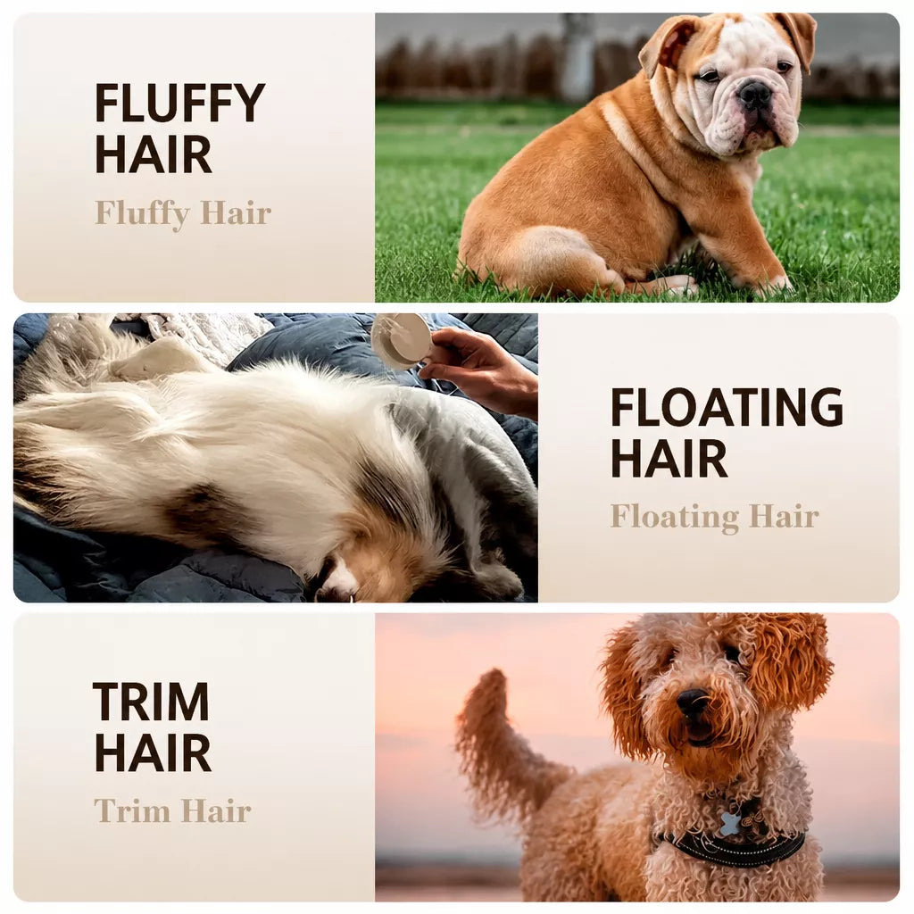 Boar Bristle Grooming Comb for Dogs and Cats