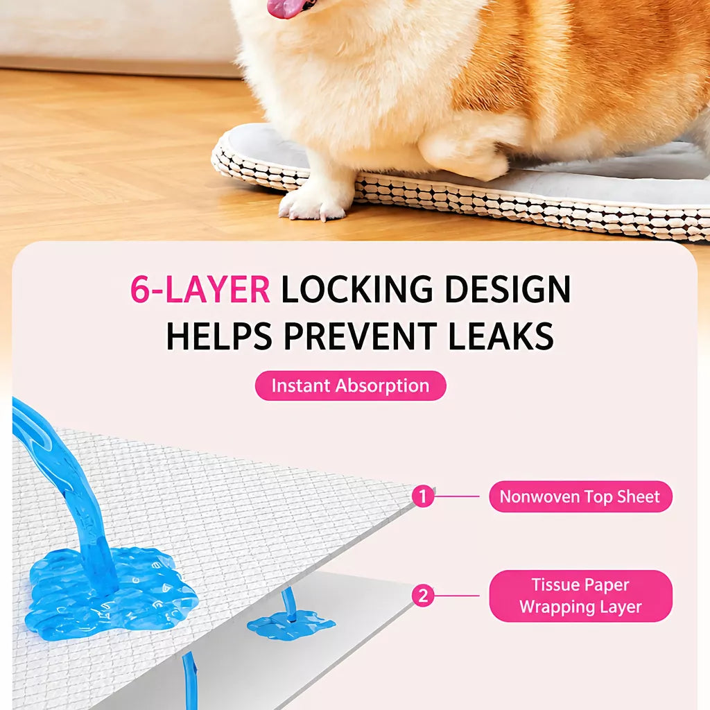 Disposable Dog Pee Pads