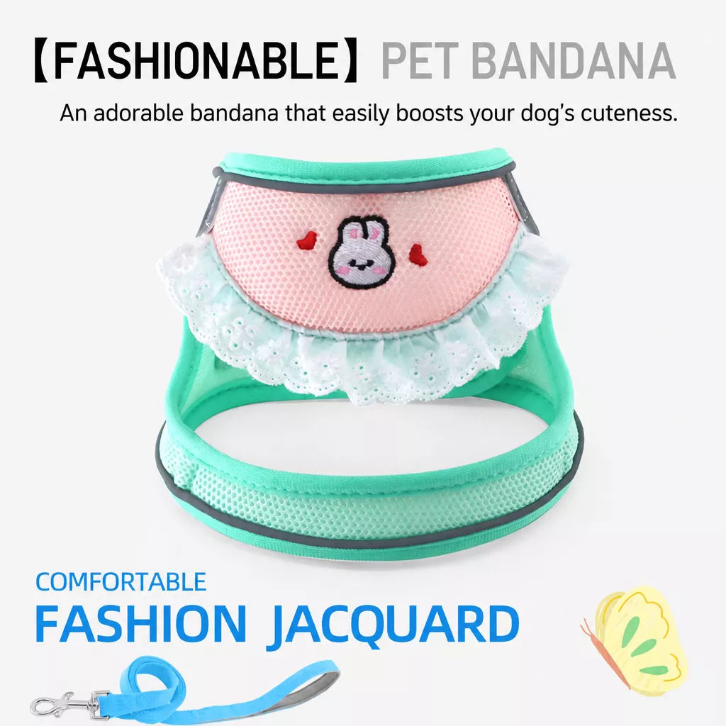 Nylon Dog & Cat Harness and Leash for Everyday Walks