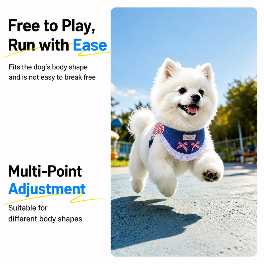 Dog Harness and Leash Set for Small to Medium Dogs