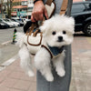 Pet Shoulder Carrier Bag for Small Dogs & Cats
