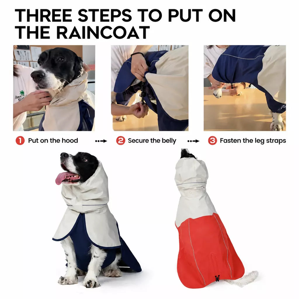 Two-Piece Dog Rain Suit