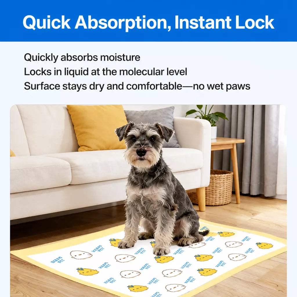 Thick Absorbent Dog Training Pads