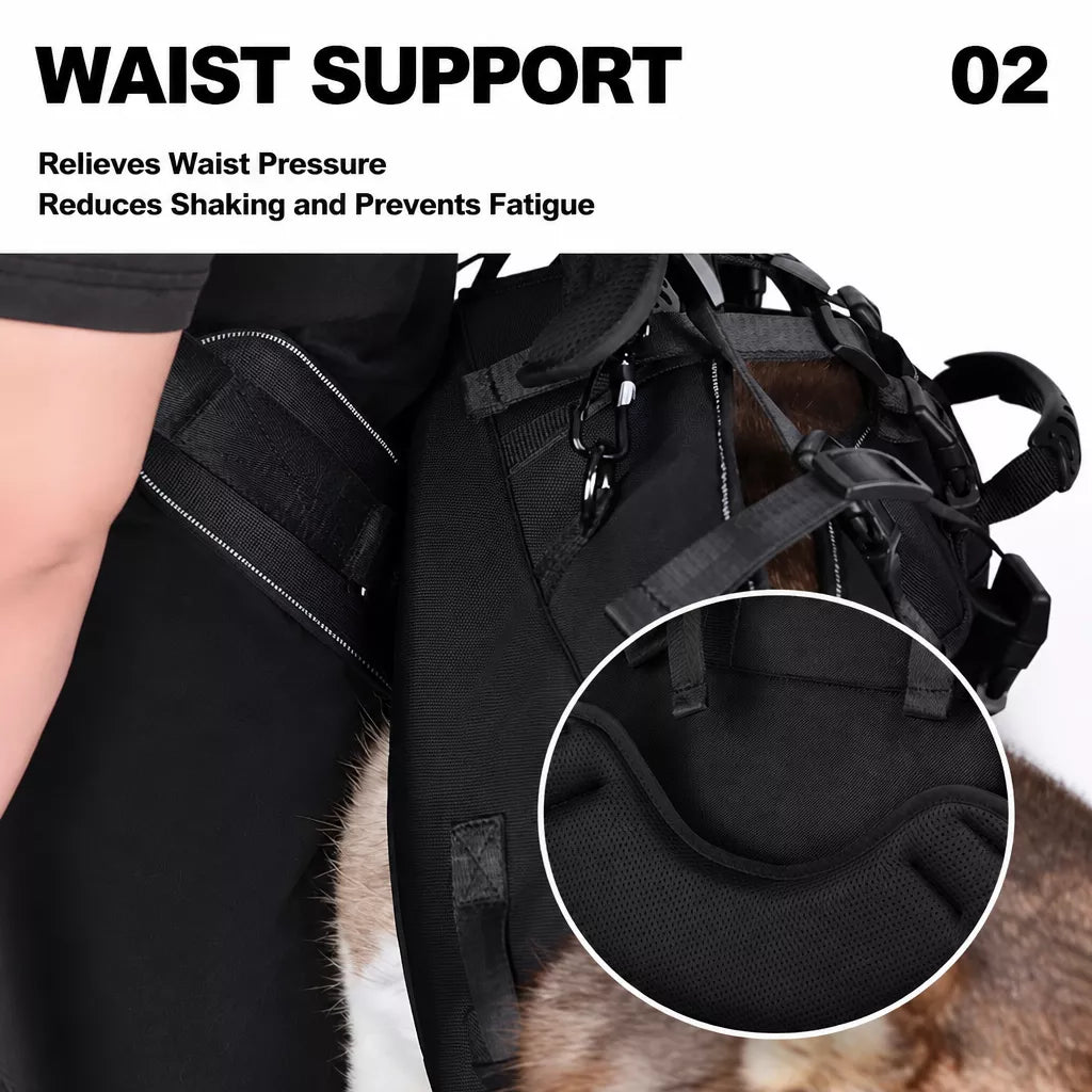 Pet Side-Carry Carrier for Dogs and Cats