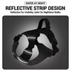 Lightweight Adjustable Nylon Dog Harness with Leash