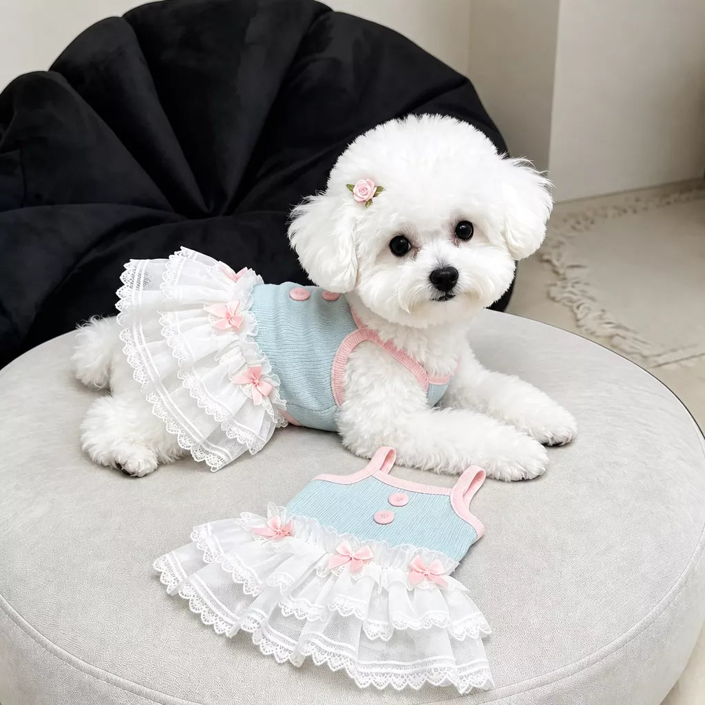 Pet Tank Tops and Strappy Dresses