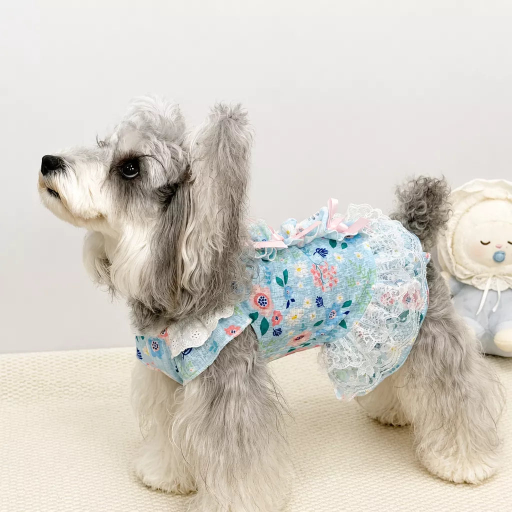 Lightweight Lace Pet Clothing with Bow and Ruffle Trim
