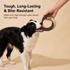 Latex Tug Toy for Dogs and Cats