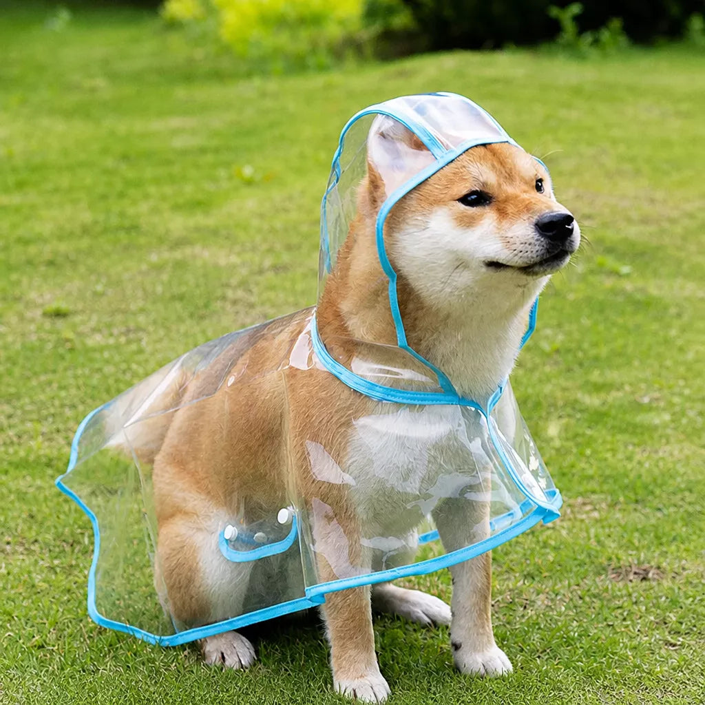 Transparent EVA Raincoat for Dogs