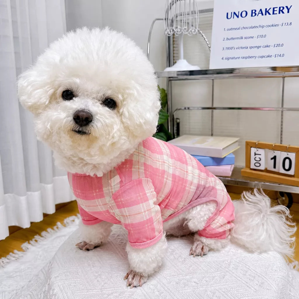 Striped Mesh Four-Leg Summer Shirt for Dogs