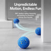 Interactive Automatic Bouncing Dog Toy Ball