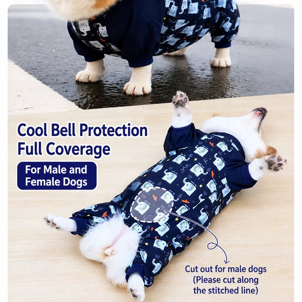 Dog Outdoor Rainwear