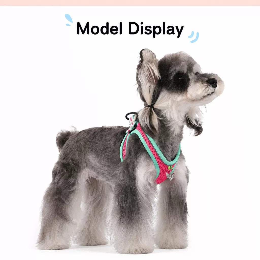 Adjustable Dog Harness with 4.6-ft Leash for Small Dogs