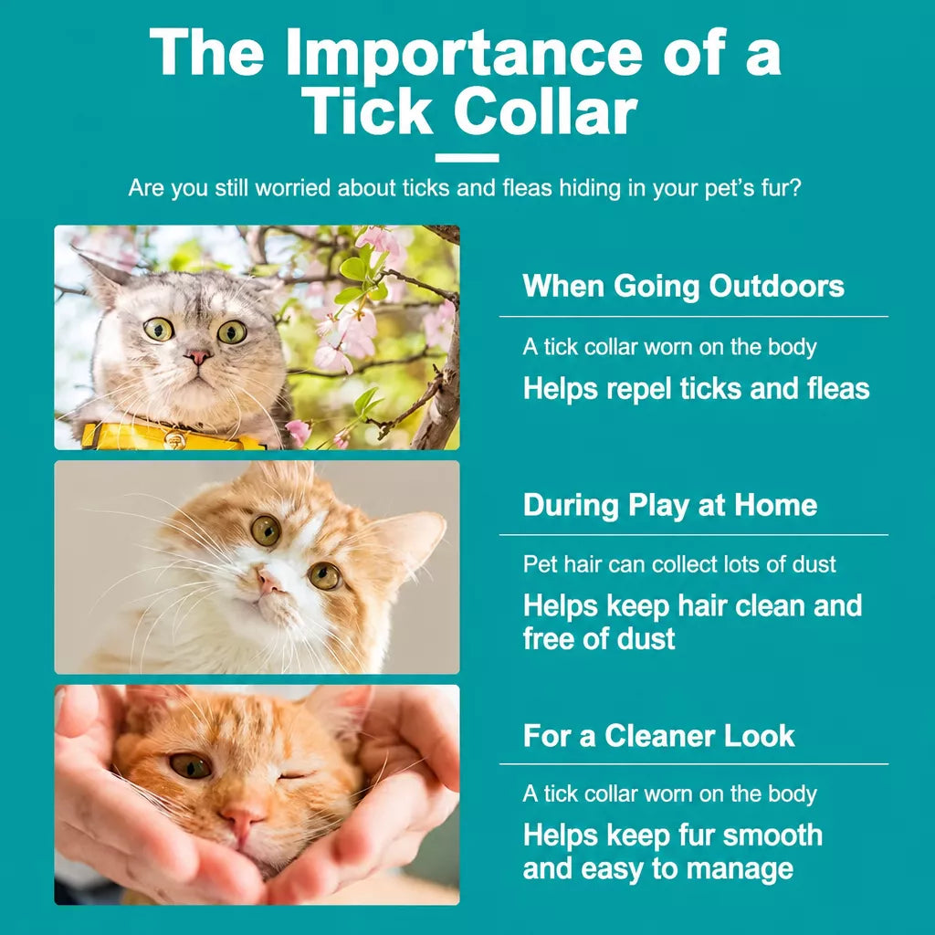Fine-Tooth Flea Comb for Cats and Dogs