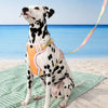 Polyester H-Style Dog Harness